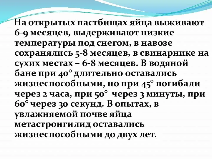 На открытых пастбищах яйца выживают 6-9 месяцев, выдерживают низкие температуры