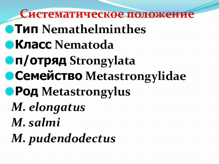 Систематическое положение Тип Nemathelminthes Класс Nematoda п/отряд Strongylata Семейство Меtastrongylidae