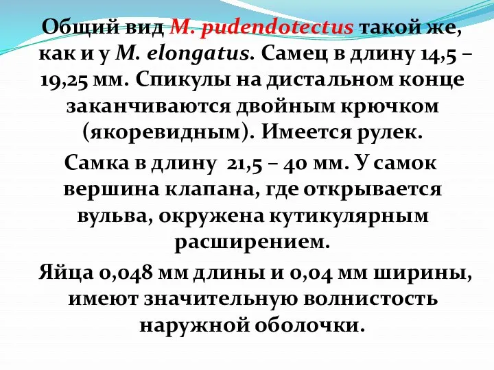 Общий вид М. pudendotectus такой же, как и у М.