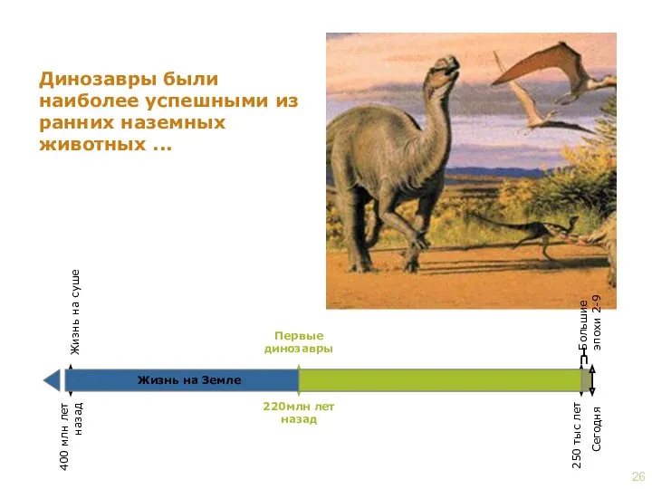 Динозавры были наиболее успешными из ранних наземных животных ... Первые динозавры 220млн лет