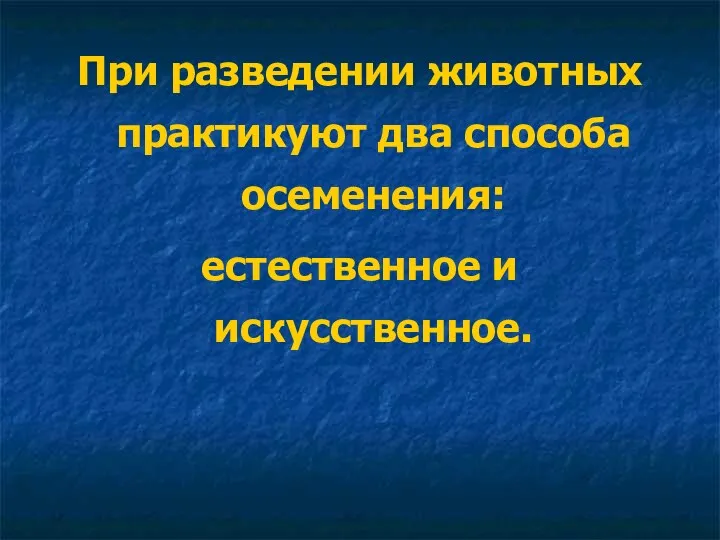 При разведении животных практикуют два способа осеменения: естественное и искусственное.