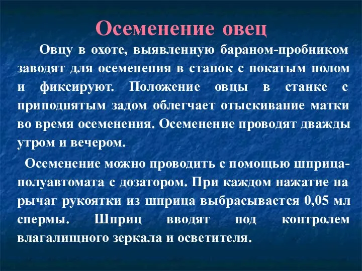 Осеменение овец Овцу в охоте, выявленную бараном-пробником заводят для осеменения