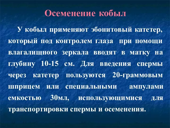 Осеменение кобыл У кобыл применяют эбонитовый катетер, который под контролем