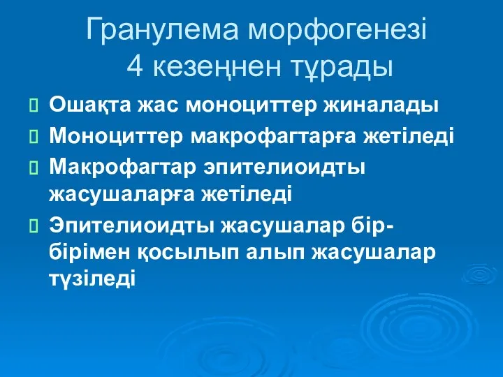 Гранулема морфогенезі 4 кезеңнен тұрады Ошақта жас моноциттер жиналады Моноциттер