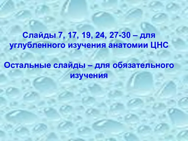 Слайды 7, 17, 19, 24, 27-30 – для углубленного изучения