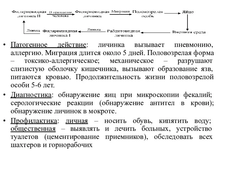 Патогенное действие: личинка вызывает пневмонию, аллергию. Миграция длится около 5