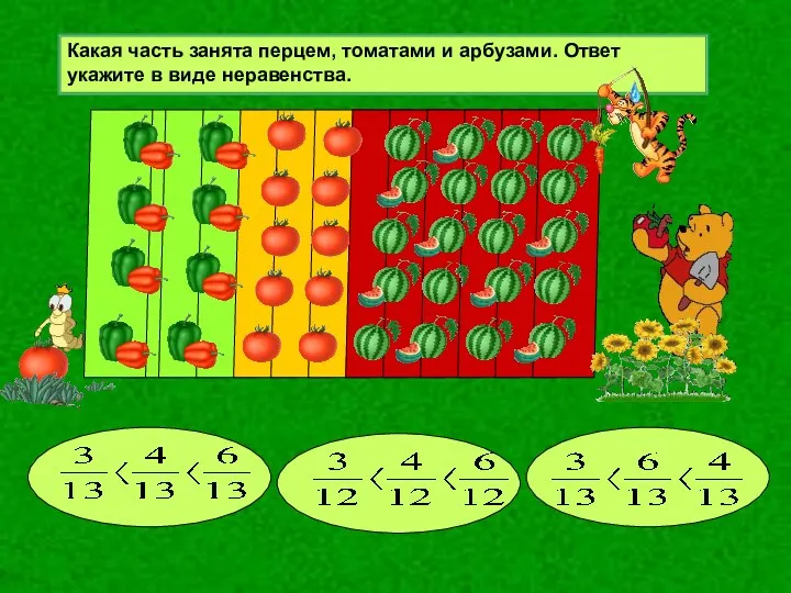 Какая часть занята перцем, томатами и арбузами. Ответ укажите в виде неравенства.