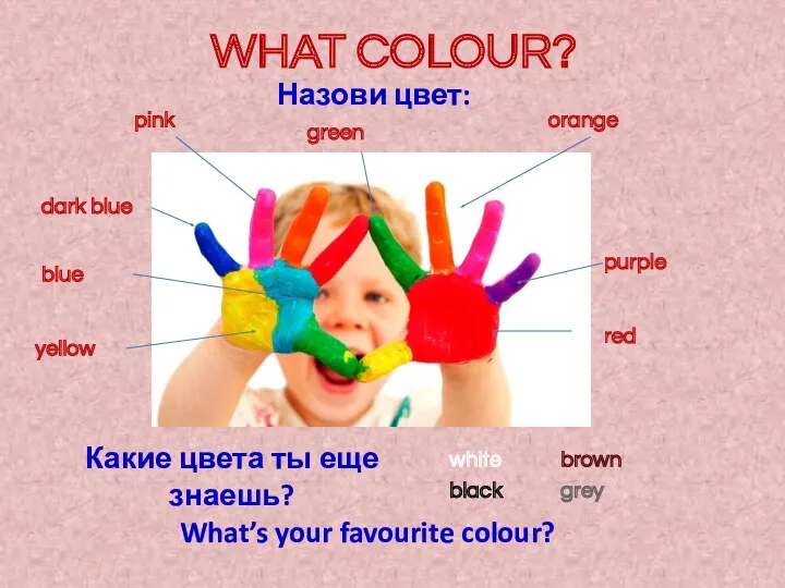 WHAT COLOUR? Назови цвет: pink orange dark blue purple red