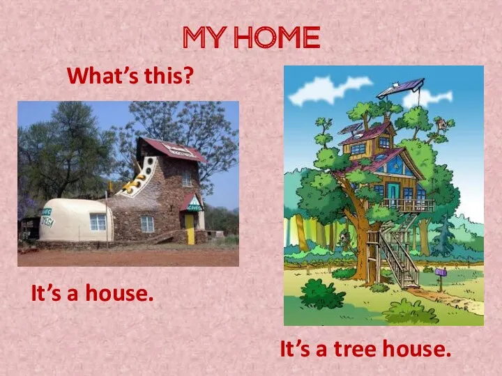 MY HOME What’s this? It’s a house. It’s a tree house.