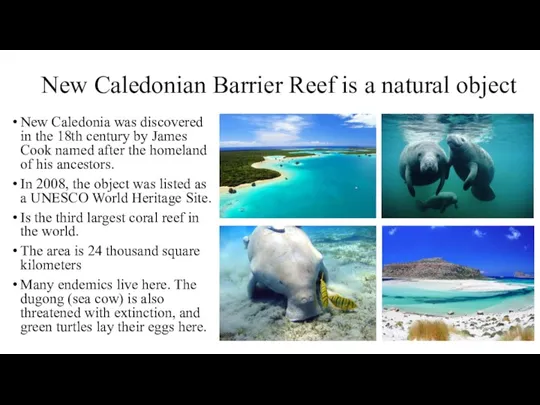 New Caledonian Barrier Reef is a natural object New Caledonia