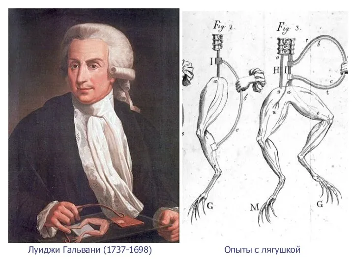 Луиджи Гальвани (1737-1698) Опыты с лягушкой