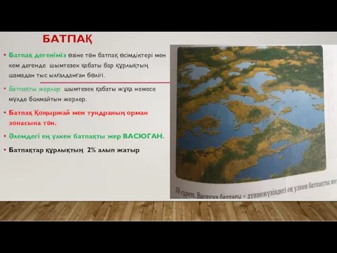 БАТПАҚ Батпақ дегеніміз өзіне тән батпақ өсімдіктері мен кем дегенде