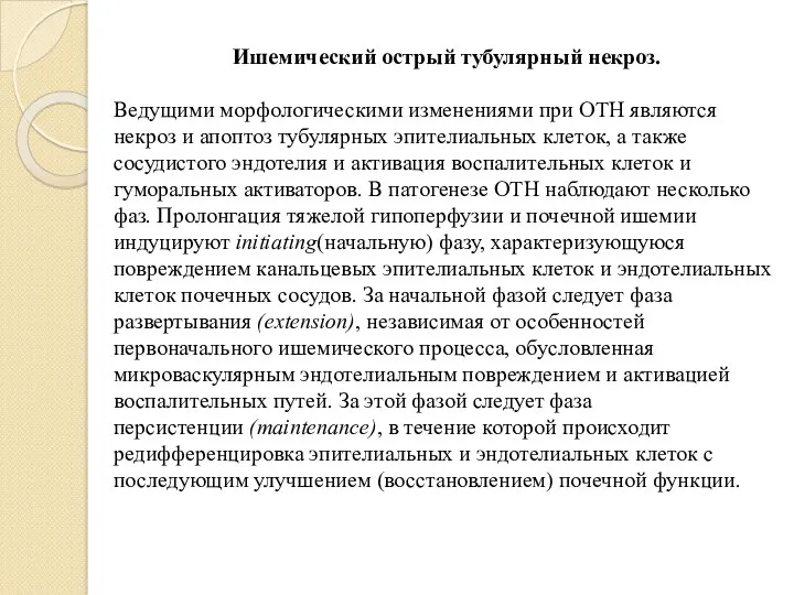 Ишемический острый тубулярный некроз. Ведущими морфологическими изменениями при ОТН являются