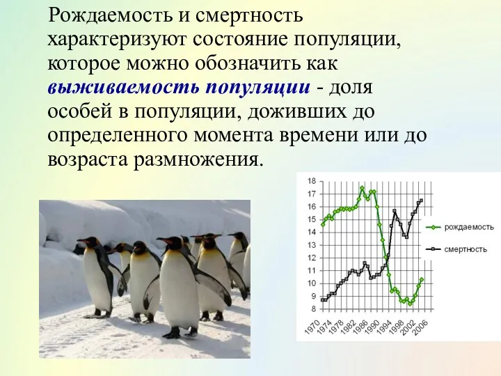 Рождаемость и смертность характеризуют состояние популяции, которое можно обозначить как