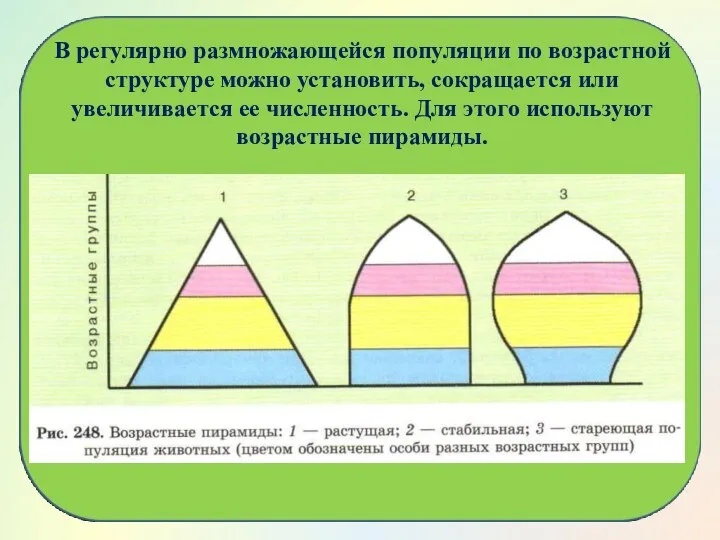 В регулярно размножающейся популяции по возрастной структуре можно установить, сокращается