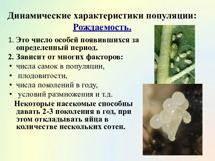 Динамические характеристики популяции: Рождаемость. 1. Это число особей появившихся за