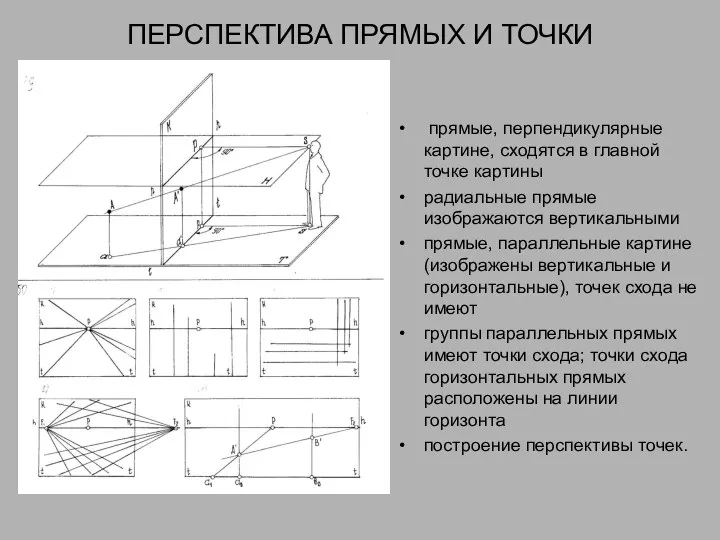 ПЕРСПЕКТИВА ПРЯМЫХ И ТОЧКИ прямые, перпендикулярные картине, сходятся в главной