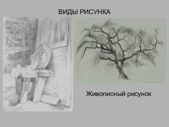 ВИДЫ РИСУНКА Живописный рисунок