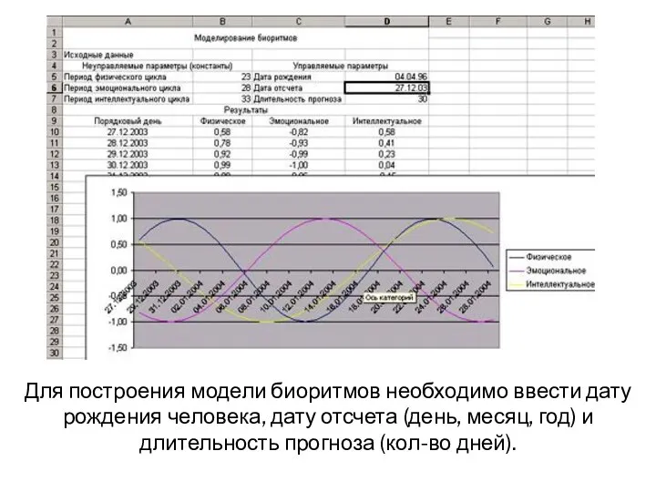 Для построения модели биоритмов необходимо ввести дату рождения человека, дату