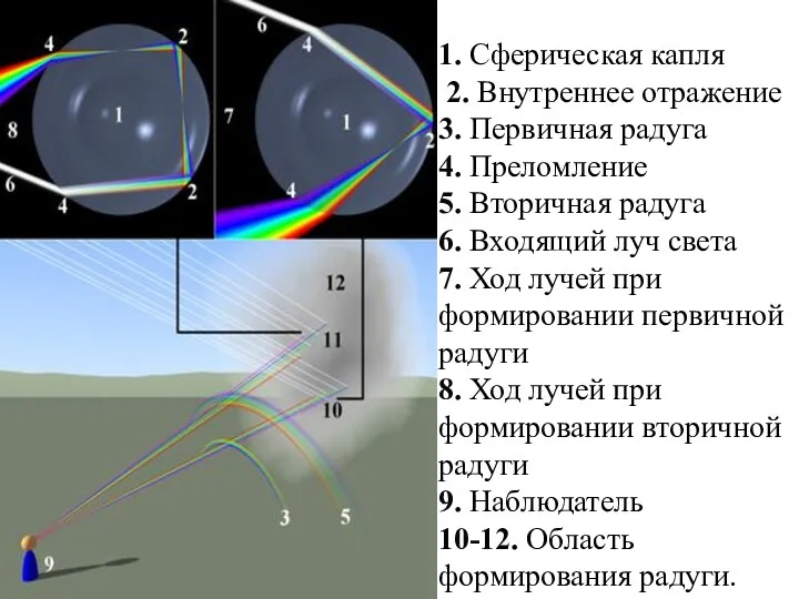 1. Сферическая капля 2. Внутреннее отражение 3. Первичная радуга 4.