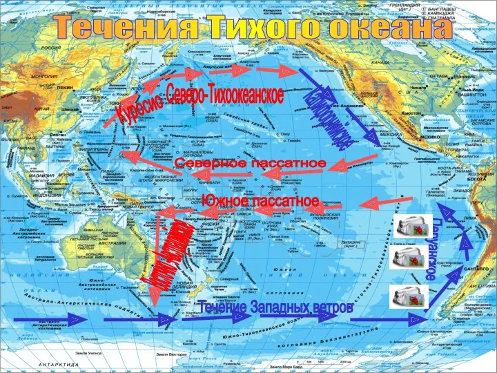 Течения Тихого океана Куросио Северо-Тихоокеанское Калифорнийское Северное пассатное Южное пассатное Восточно -Австралийское Течение Западных ветров Перуанское