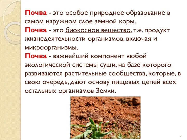 Почва - это особое природное образование в самом наружном слое