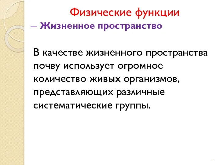 Физические функции Жизненное пространство В качестве жизненного пространства почву использует