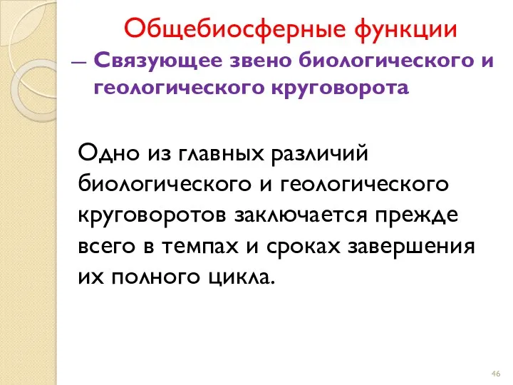 Общебиосферные функции Связующее звено биологического и геологического круговорота Одно из