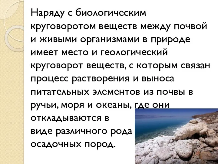 Наряду с биологическим круговоротом веществ между почвой и живыми организмами