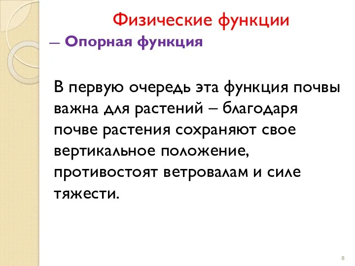 Физические функции Опорная функция В первую очередь эта функция почвы