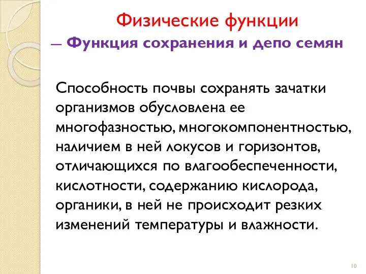 Физические функции Функция сохранения и депо семян Способность почвы сохранять