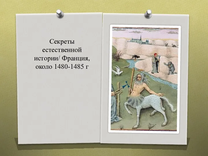 Секреты естественной истории/ Франция, около 1480-1485 г