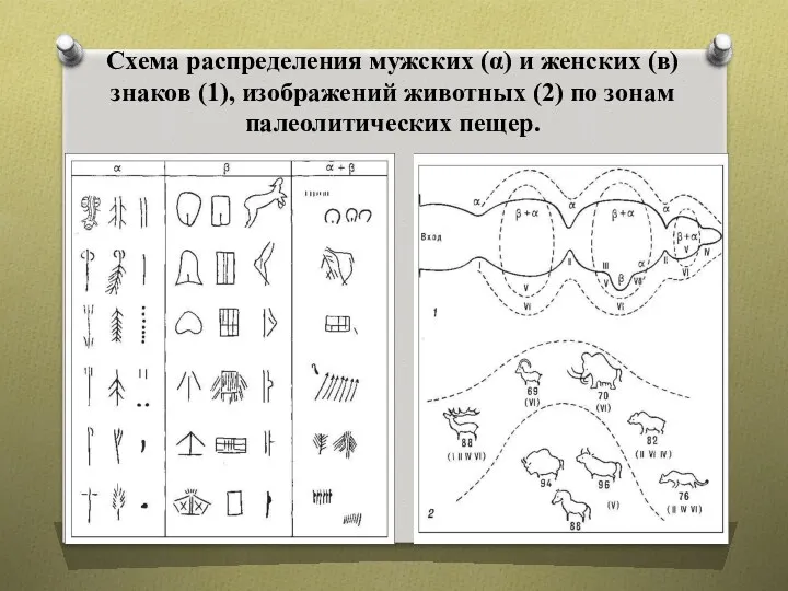 Схема распределения мужских (α) и женских (в) знаков (1), изображений животных (2) по зонам палеолитических пещер.