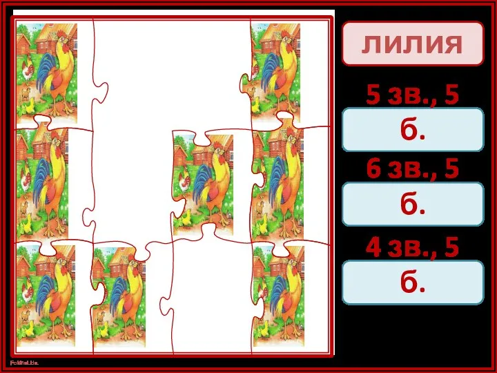 лилия 5 зв., 5 б. 6 зв., 5 б. 4 зв., 5 б.