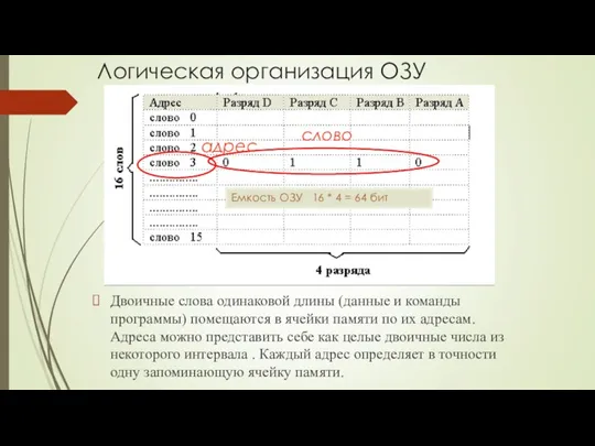 Логическая организация ОЗУ Двоичные слова одинаковой длины (данные и команды