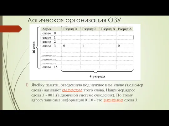 Логическая организация ОЗУ Ячейку памяти, отведенную под нужное нам слово (т.е.номер слова) называют