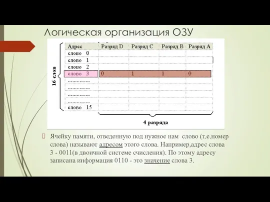 Логическая организация ОЗУ Ячейку памяти, отведенную под нужное нам слово