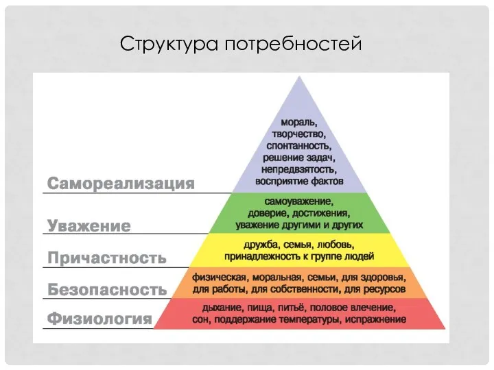 Структура потребностей