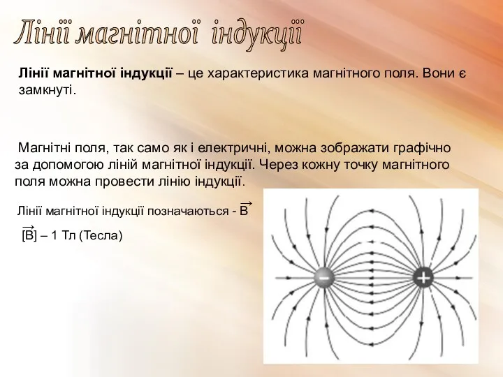 Лінії магнітної індукції Лінії магнітної індукції – це характеристика магнітного