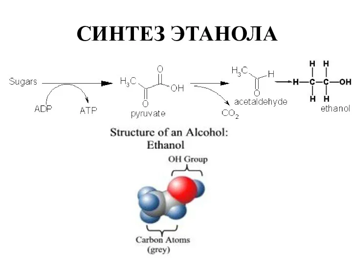 СИНТЕЗ ЭТАНОЛА