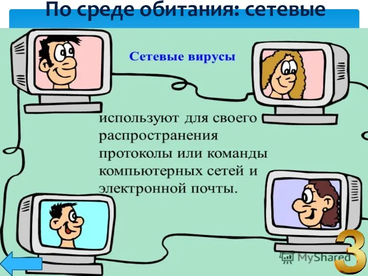 По среде обитания: сетевые