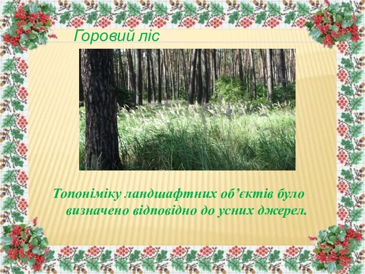 Горовий ліс Топоніміку ландшафтних об’єктів було визначено відповідно до усних джерел.