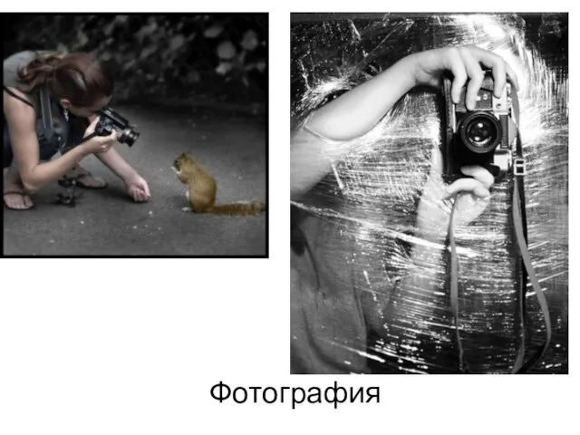 Фотография