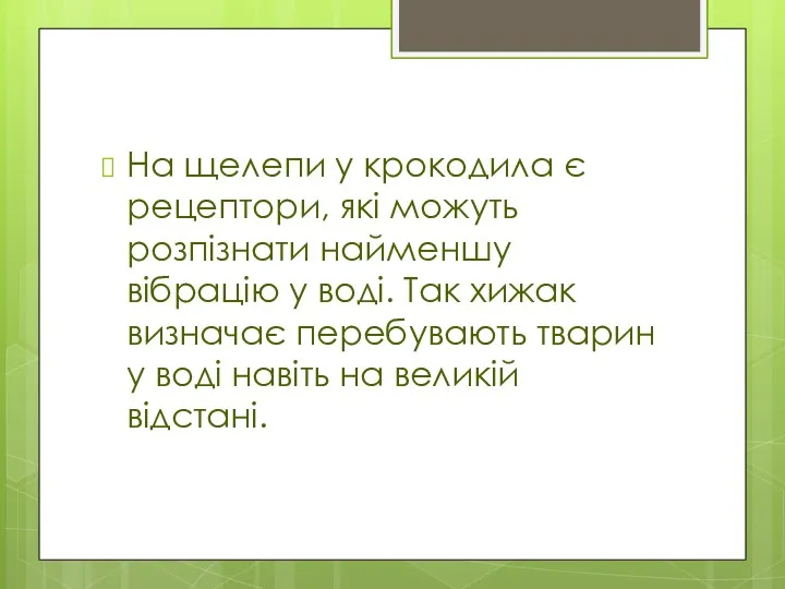 На щелепи у крокодила є рецептори, які можуть розпізнати найменшу