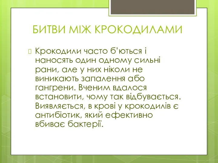 БИТВИ МІЖ КРОКОДИЛАМИ Крокодили часто б’ються і наносять один одному