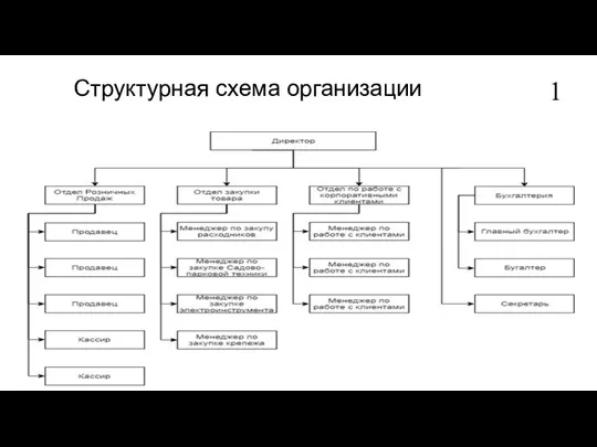 Структурная схема организации 1