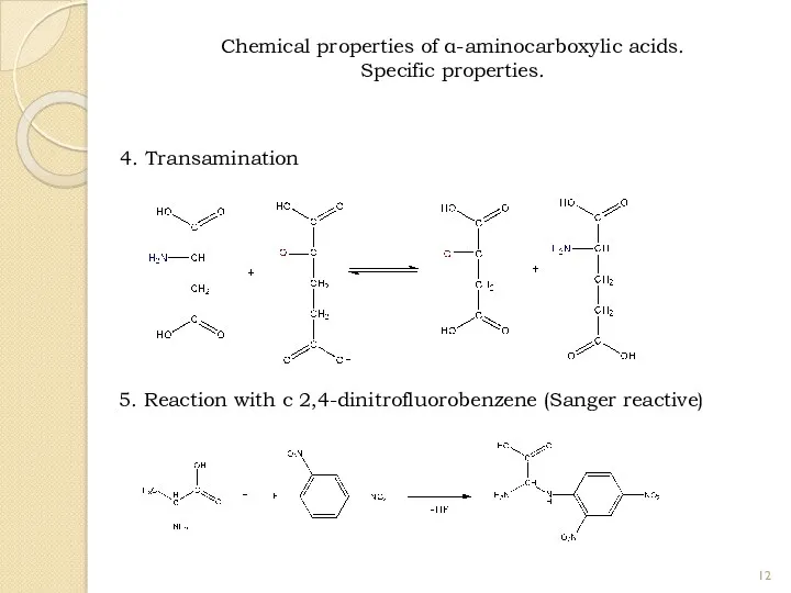 4. Transamination 5. Reaction with с 2,4-dinitrofluorobenzene (Sanger reactive) Chemical properties of α-aminocarboxylic acids. Specific properties.