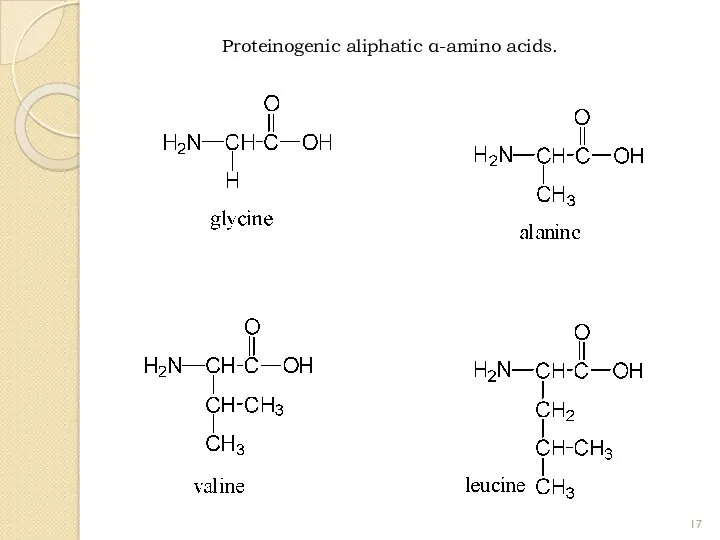 Proteinogenic aliphatic α-amino acids.