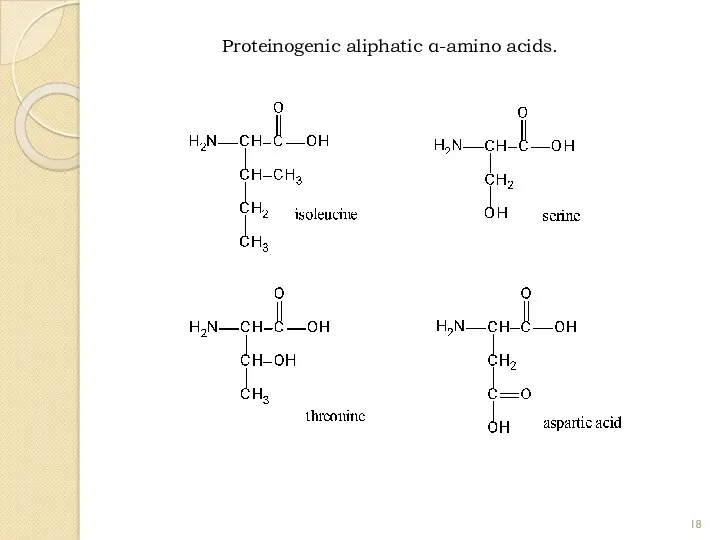 Proteinogenic aliphatic α-amino acids.