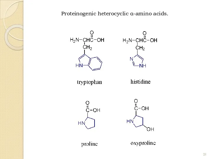 Proteinogenic heterocyclic α-amino acids.